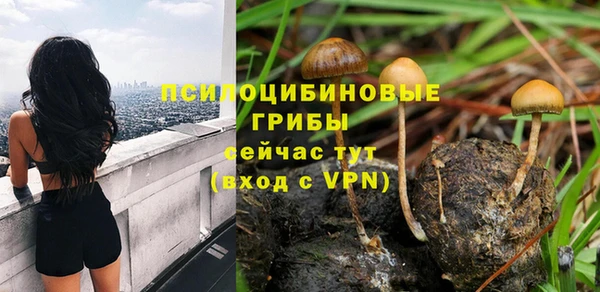 ECSTASY Волоколамск