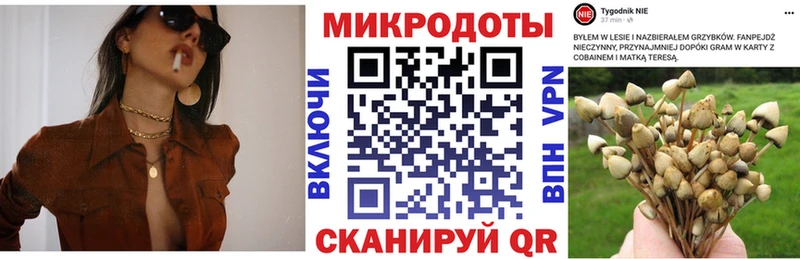 Псилоцибиновые грибы GOLDEN TEACHER Купить где Сорочинск